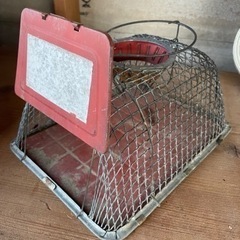 ネズミ捕り？