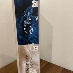 充電式のブランケットの画像