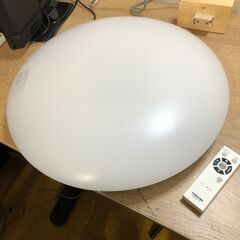 ２０２１年製　TOSHIBA NLEH08001A-LC [LE...