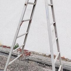 軽量アルミ製品 はしご 脚立 高さ約350cm キャタツ 高さ約...