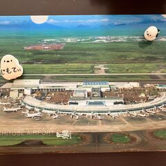 【未使用品】北海道 新千歳空港 クリアファイル【非売品　飛行機　...