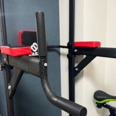 ぶら下がり健康器BS502の画像