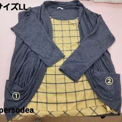 処分！レディース服 サイズL～LLの画像