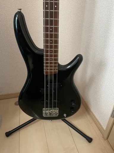 Fシリアルフジゲン製 アイバニーズ SR ベース