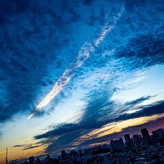 夢や目標に向かって努力されている方と高めあえる関係になりたいです！