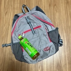 champion リュックの画像