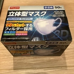 立体マスク　小さめ