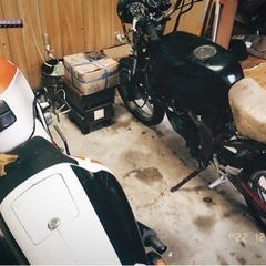 tzr50「原付」