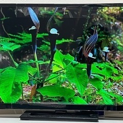 【美品】TOSHIBA テレビ【交渉成立】