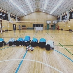 バレーボール指導者探してます。