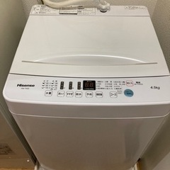 家電 生活家電 洗濯機