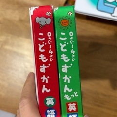 絵本　こどもずかん　2冊の画像