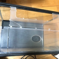 金魚飼育セットの画像