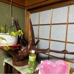 流木インテリアの画像