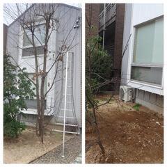 伐採や抜根、剪定を早い、安い、綺麗を届けるマツモト造園  - さいたま市