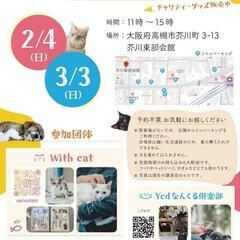 保護猫の譲渡会　大阪府高槻市　2月