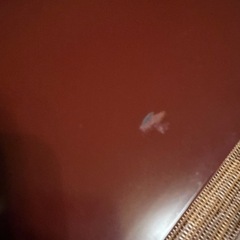 2段お重箱と昭和のおめでたい鶴の箸置きの画像