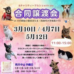 保護犬・保護猫が大集合する合同譲渡会＆チャリティーマルシェを開催...