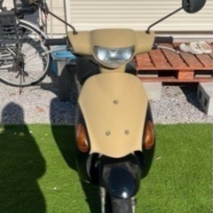 引き渡し決定しました
