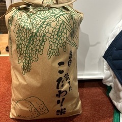 お米10kg