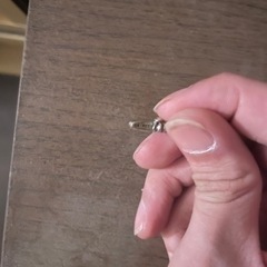 クロムハーツピアスの画像