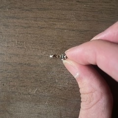 クロムハーツピアスの画像