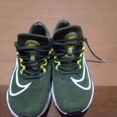 NIKEズームフライ５の画像