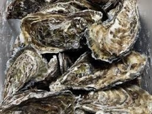日生産殻付き生牡蠣　　2月8.9日近場配達します！