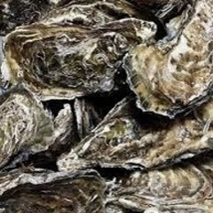 日生産殻付き生牡蠣　　2月8.9日近場配達します！