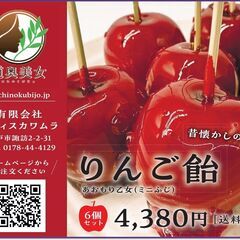アイスりんご飴 あおもり乙女（ミニふじ）を使用 味自慢 お祭り気...