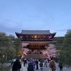 【R6年 知恩院桜ストリート】出店募集 - イベント