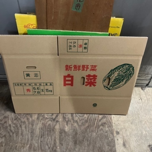 白菜用ダンボール120枚