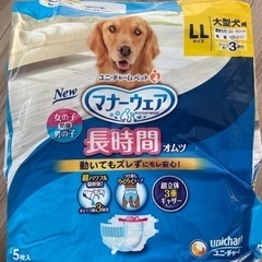 20%OFF⭐︎値下げしました⭐︎マナーウェア　犬用オムツ　大型...