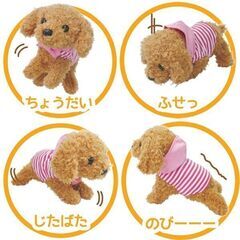 愛犬モカちゃん　呼びかけアクション　リアルペットの画像