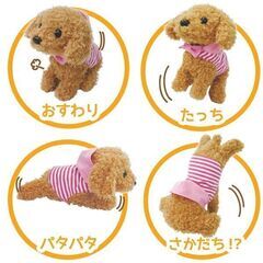 愛犬モカちゃん　呼びかけアクション　リアルペットの画像