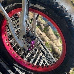 トライアル　自転車　MONTY 221prの画像