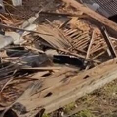 瓦、木材、廃材、大量にあります。無料。条件あり。の画像