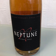NEPTUNE 2004 ココファームワイン　果実酒　720ml 15%の画像