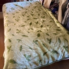 毛布 1枚
