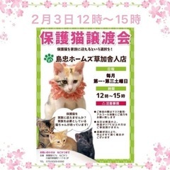 島忠ホームズ草加舎人店　保護ねこ譲渡会　2月3日（土）