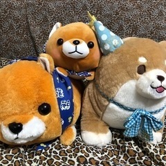 柴犬系　ぬいぐるみ　グルーミーぬいぐるみ