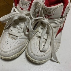MIZUNOバッシュ