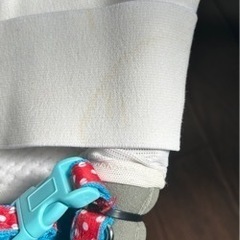 【2月下旬に破棄】ペット用車椅子(手作り)の画像