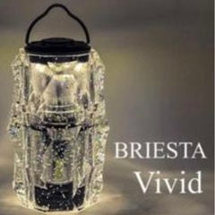 BRIESTAブリエスタ　vivid