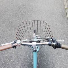 商談中「中古」大日/Liselotte/22インチの画像