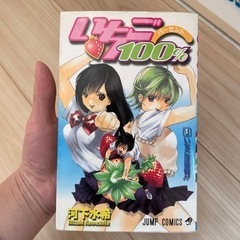 いちご100% 漫画19冊 ⭐︎ブックオフ1冊110円で販売⭐︎の画像