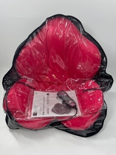 【美品】骨盤スリムスタイリーエアー　CY-1153