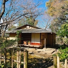 第28回💕4/21(日)✨豊田市美術館の豊祥庵にて茶道体験しませんか？ - 豊田市