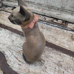 インテリア猫🐱の画像