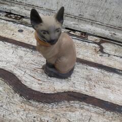 インテリア猫🐱の画像